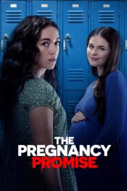 The Pregnancy Promise 2023 one on netflix