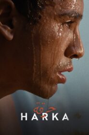 Harka 2022 one on netflix