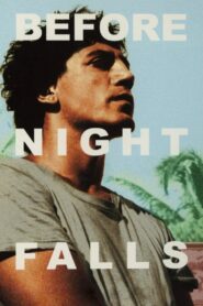 Before Night Falls 2000 one on netflix