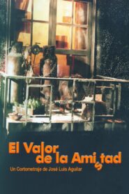 El valor de la amistad 2000 one on netflix