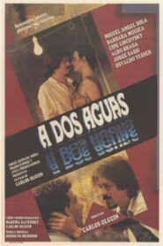 A dos aguas 1988 one on netflix