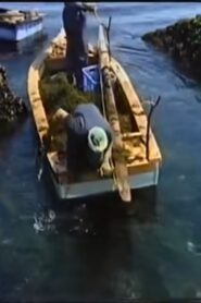 Fishing Moon 1980 one on netflix