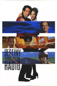 Destiny Turns on the Radio 1995 one on netflix