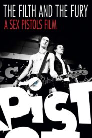 The Filth and the Fury 2000 one on netflix