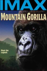 Mountain Gorilla 1992 one on netflix