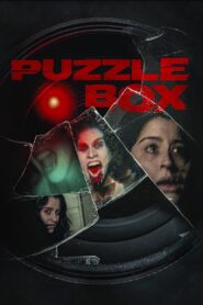 Puzzle Box 2023 one on netflix