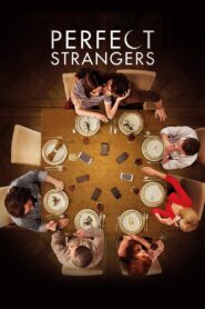 Perfect Strangers 2017 one on netflix