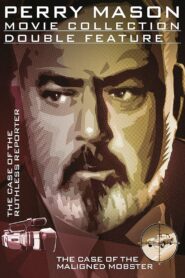 Perry Mason: The Case of the Ruthless Reporter 1991 one on netflix