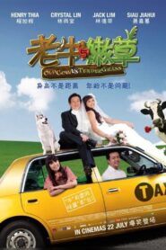 Old Cow Vs Tender Grass 2010 one on netflix
