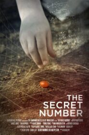 The Secret Number 2012 one on netflix