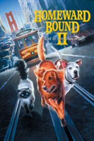 Homeward Bound II: Lost in San Francisco 1996 one on netflix