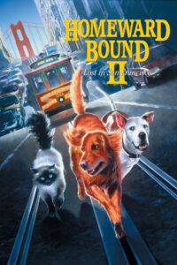 Homeward Bound II: Lost in San Francisco 1996 one on netflix