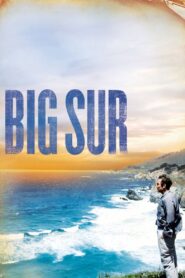 Big Sur 2013 one on netflix