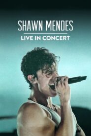 Shawn Mendes: Live in Concert 2020 one on netflix