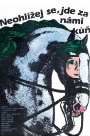 Don’t Look Back, There Is a Horse Behind Us 1981 one on netflix