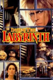 Inside the Labyrinth 1986 one on netflix