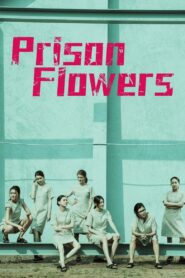 Prison Flowers 2023 one on netflix