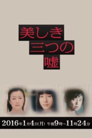3 Beautiful Lies 2016 one on netflix