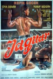 Jaguar 1987 one on netflix