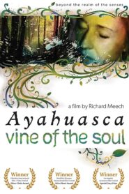 Vine of the Soul: Encounters with Ayahuasca 2010 one on netflix
