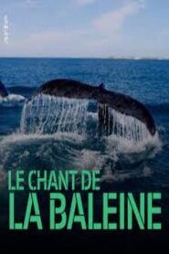 Whale Patrol 2009 one on netflix