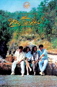 Forest In Love 1994 one on netflix