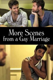 More Scenes from a Gay Marriage 2014 one on netflix