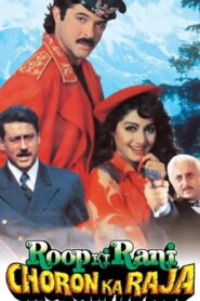 Roop Ki Rani Choron Ka Raja 1993 one on netflix