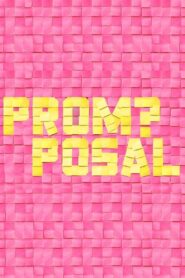 Promposal 2017 one on netflix