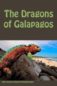 The Dragons of Galapagos 1998 one on netflix
