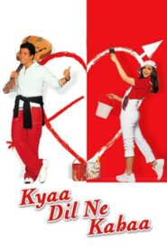 Kyaa Dil Ne Kahaa 2002 one on netflix