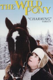 The Wild Pony 1983 one on netflix