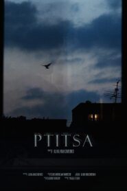 Ptitsa 2022 one on netflix