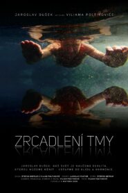 Zrcadlení tmy 2020 one on netflix