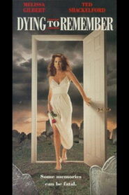 Dying to Remember 1993 one on netflix