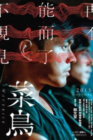 Maverick 2015 one on netflix
