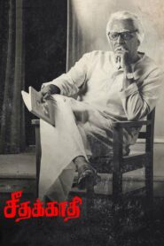 Seethakathi 2018 one on netflix