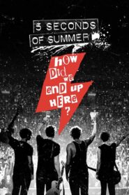 5 Seconds of Summer: How Did We End Up Here? 2015 one on netflix