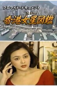 The Illustrated Guide to Hong Kong Stars 1991 one on netflix