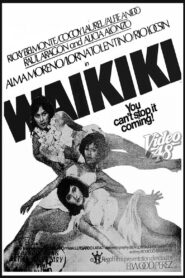 Waikiki 1980 one on netflix