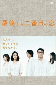Second to Last Love 2012 one on netflix