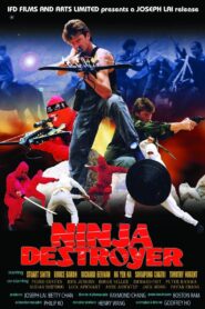 Ninja Destroyer 1986 one on netflix
