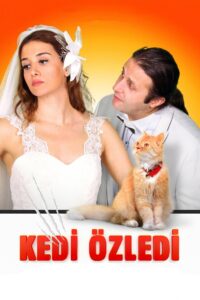Kedi Özledi 2013 one on netflix