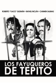 Los fayuqueros de Tepito 1982 one on netflix