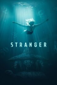 Stranger 2019 one on netflix