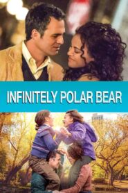 Infinitely Polar Bear 2014 one on netflix