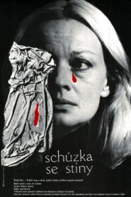 Schůzka se stíny 1983 one on netflix