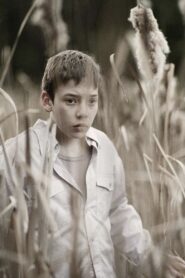 Pinion 2010 one on netflix