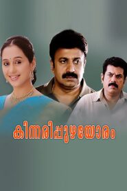 Kinnaripuzhayoram 1994 one on netflix
