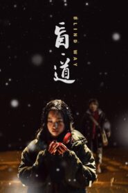 Blind Way 2017 one on netflix